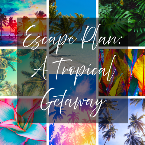 Escape Plan: A Tropical Getaway PREORDER