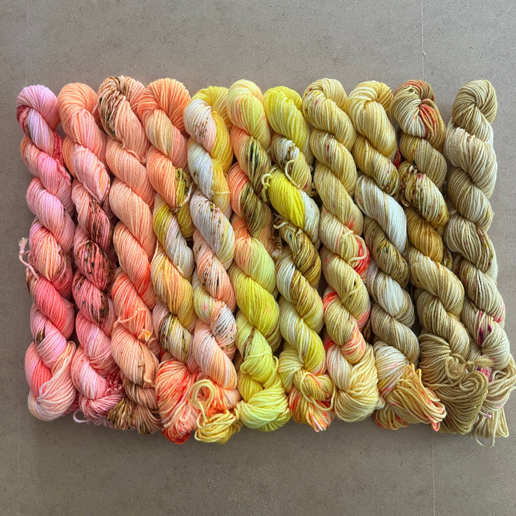 Sunshine Coast Speckled Gradient Mini Skein Set